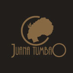 carnaval-logo-gestion-medias-sociaux-quebec-design-et-logos